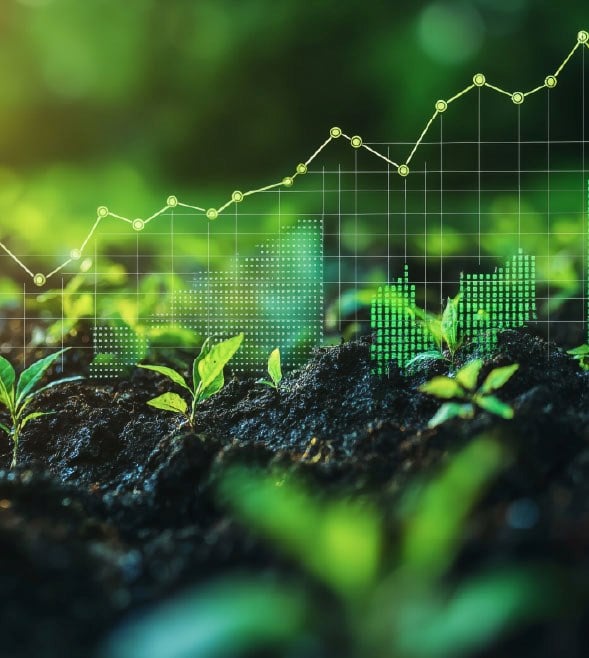 Keeping the lid on carbon emissions 