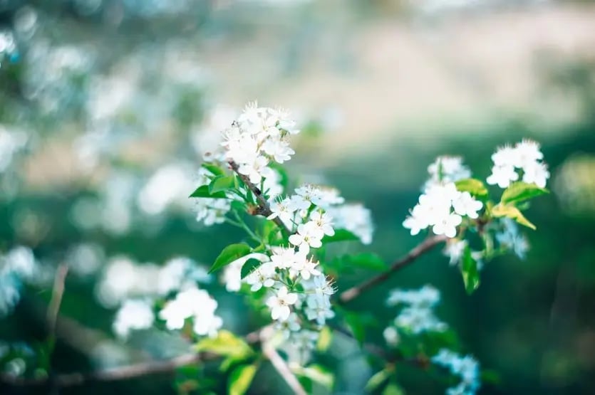 Audit and Compliance: How to Manage Rising Costs Without Sacrificing Quality