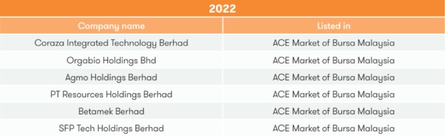 ipo success story 2022