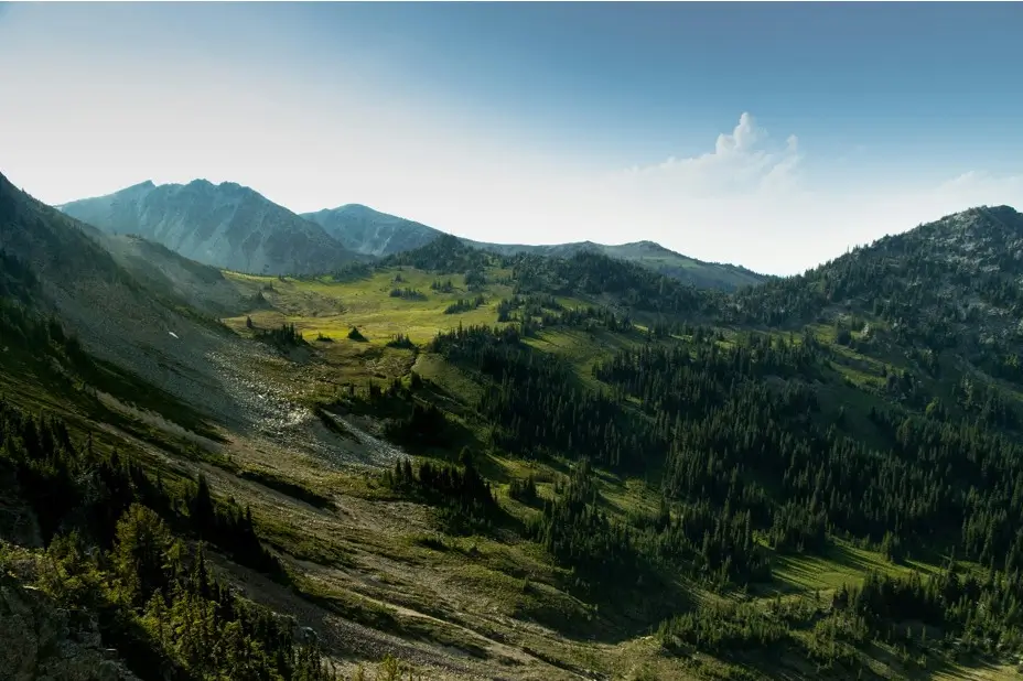 insight featured image