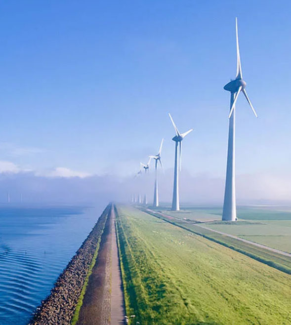 Starbiz: ESG reporting landscape and the role of regulators